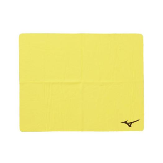 MIZUNO SHOP [�~�Y�m�����I�����C���V���b�v] �X�C���^�I��(34×44cm) ���j�Z�b�N�X 43 F.�C�G���[ N2JYD011