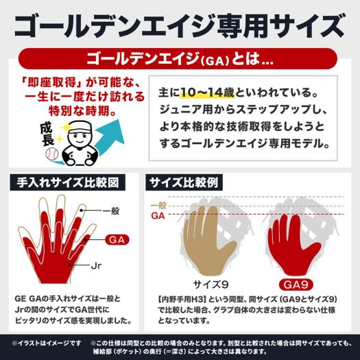 ゴールデンエイジ硬式用【グローバルエリート】GA【内野手用／サイズ