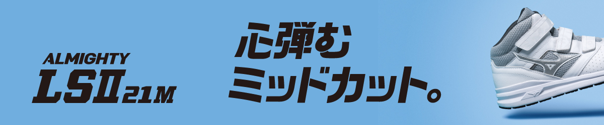 ALMIGHTY_LS2_21M ALMIGHTY_LS2_21M