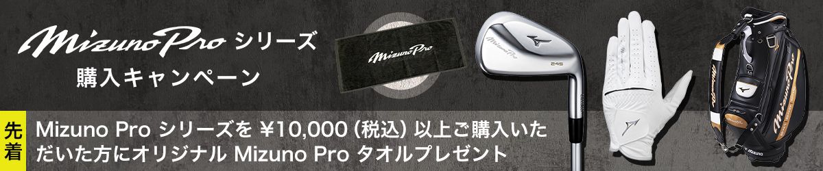Mizuno Pro 223 6本組(No.5～PW)(N.S.PRO MODUS3 TOUR115 スチール 