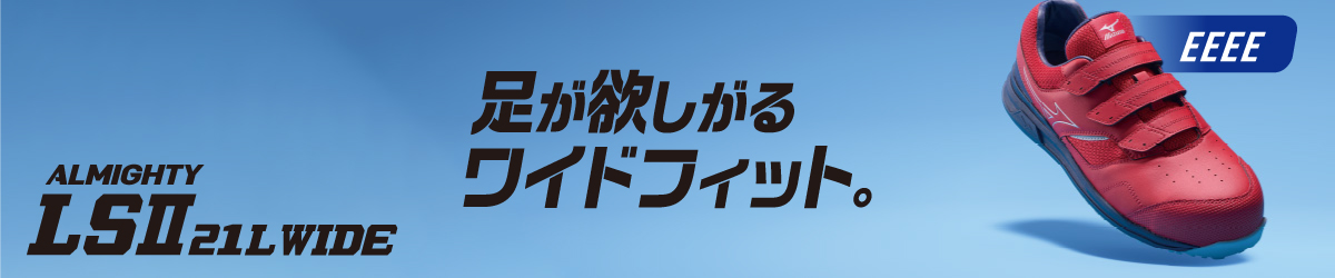 オールマイティ LSII 21L WIDE