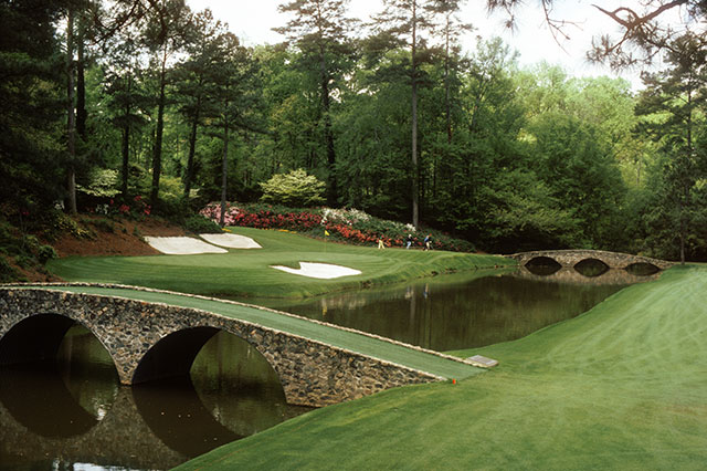 オーガスタの写真