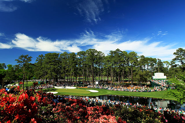 オーガスタの写真