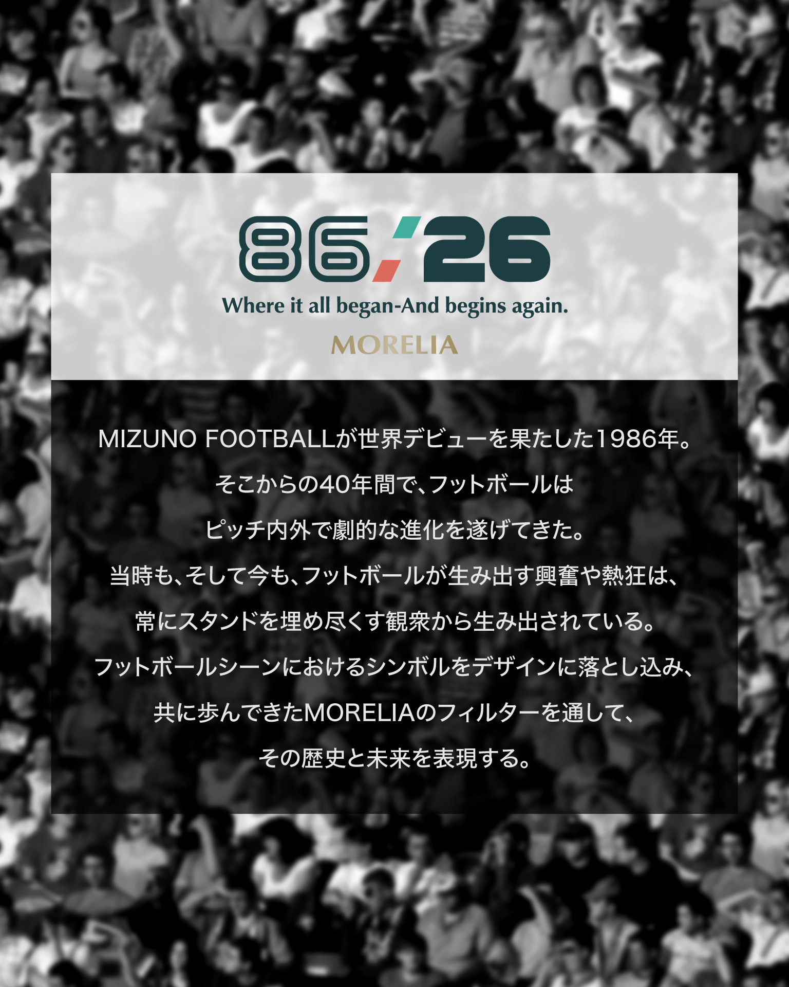 P2MADW05_001