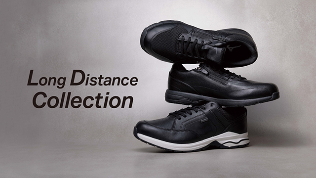 LDコレクション