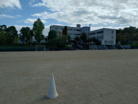 20241020_094906.JPG