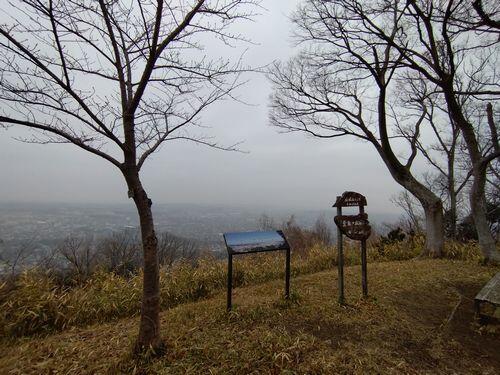 20250302_094627.JPG